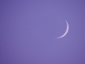 新月に願いをかける恋愛に関する西洋占星術の活用法は？