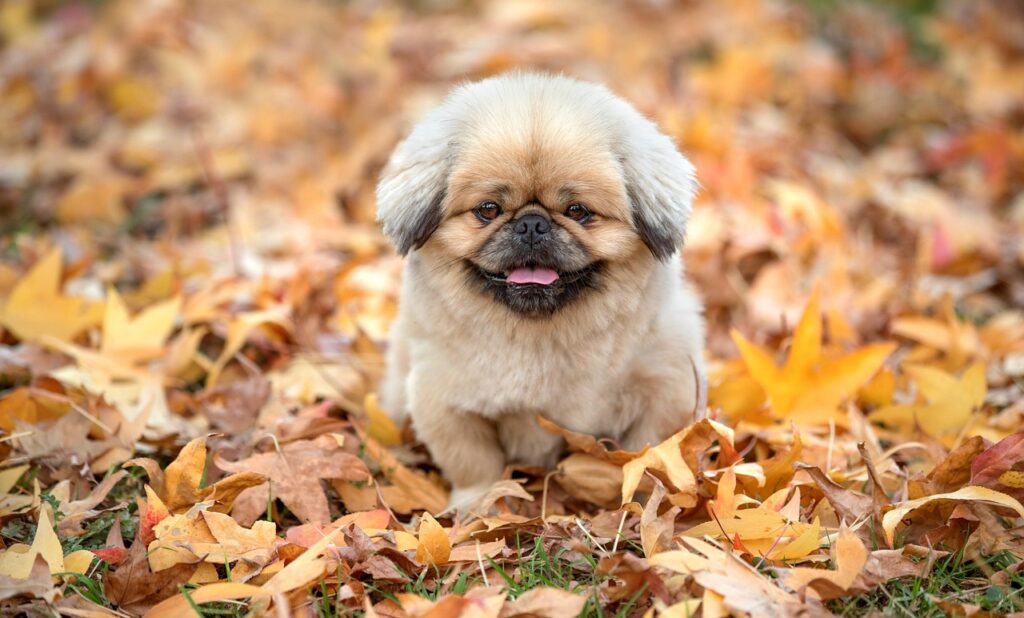 2025年夏の恋愛運を西洋占星術でどう占うべきか？