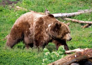 出会いを増やすために占いを活用する方法は？