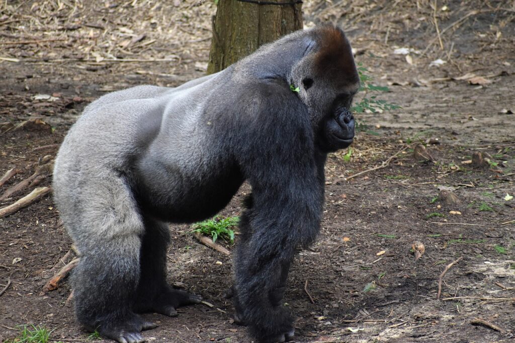 恋愛2025に向けた理想の出会い方は？