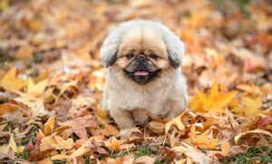 今日の恋愛運をアップさせるための秘訣は？