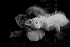 本当に当たる相性占い完全無料で生年月日から相性を知る方法は？