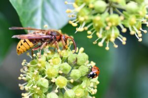 出会いはいつ訪れるのか？最適なタイミングとは？