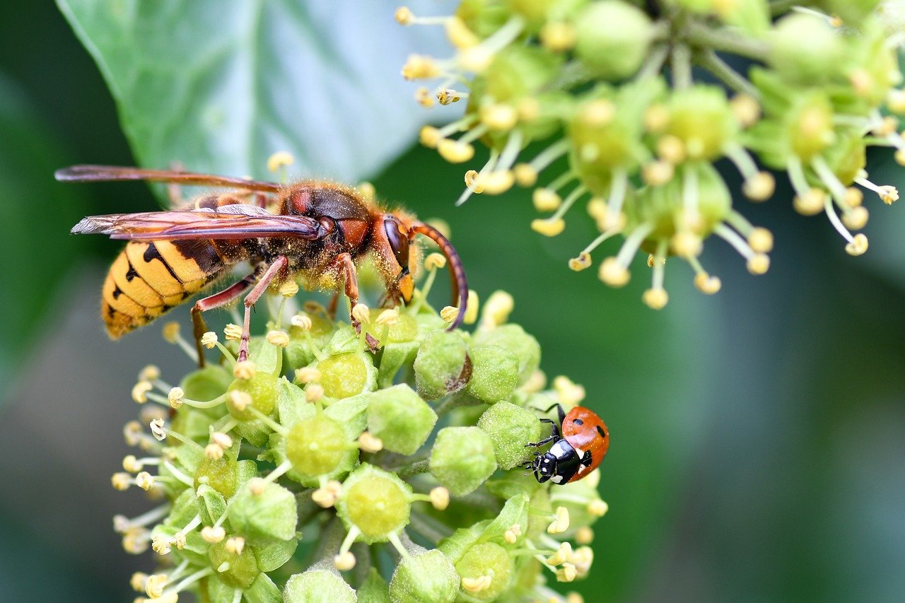 出会いはいつ訪れるのか？最適なタイミングとは？